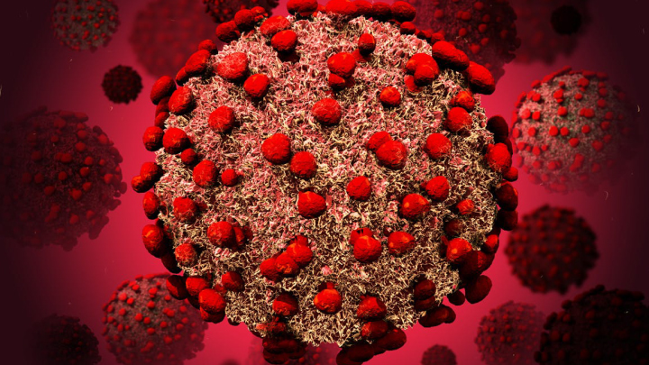 病毒细胞3D建模